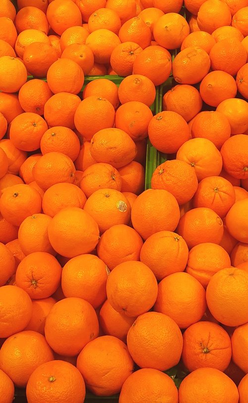 orange  fruits  fruit