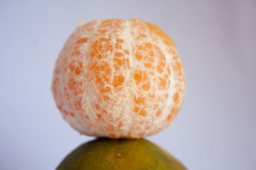 orange fruit citrus