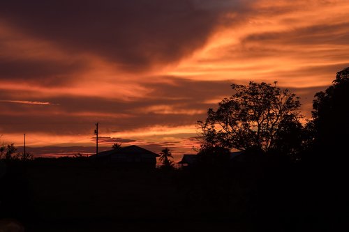 orange  sunset  landscape