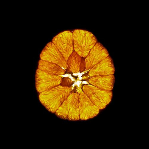 orange  cross section  fruit