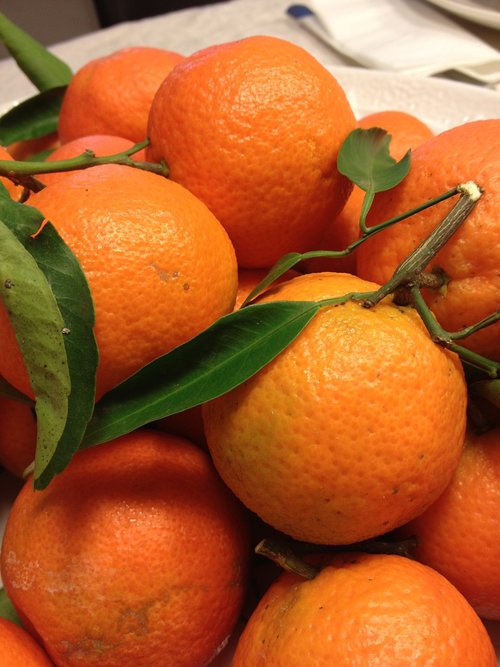 orange  fruit  food