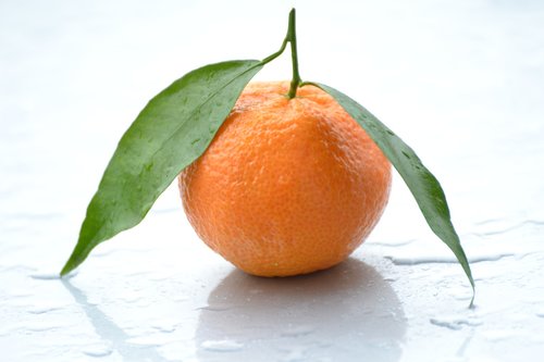 orange  fruit  water