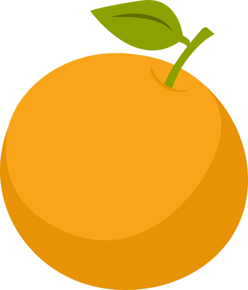 orange  orange half  fruit