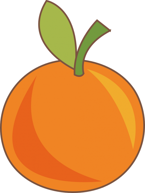 orange fruit free vector graphics