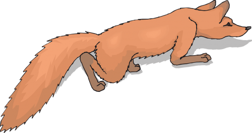 orange fox tail