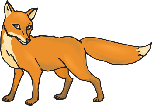 orange fox animal