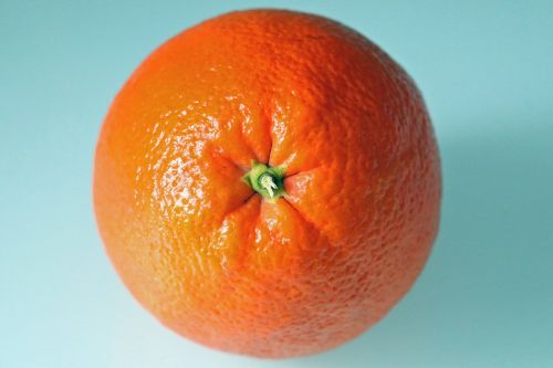 orange citrus fruit shell