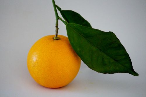 orange branch vitamin c