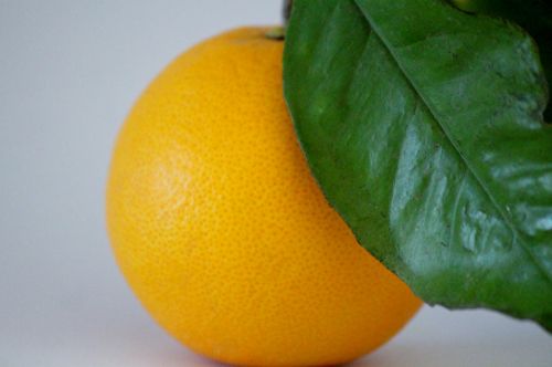 orange branch vitamin c