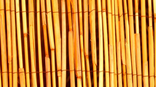 Orange Bamboo Wood Background