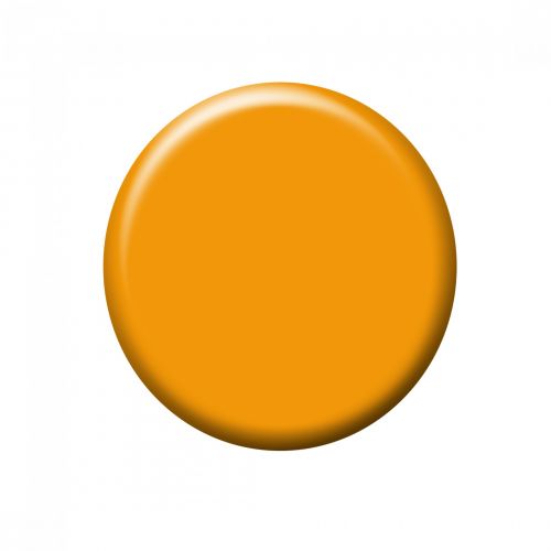 Orange Button For Web