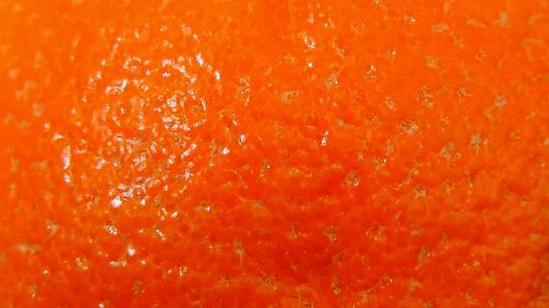 orange peel orange sweet