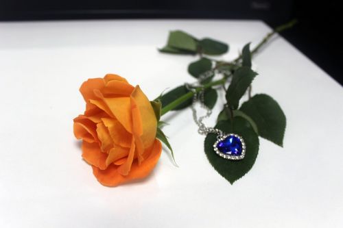 orange rose necklace rose