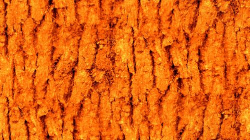 Orange Seamless Bark Background
