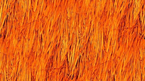 Orange Seamless Straw Background