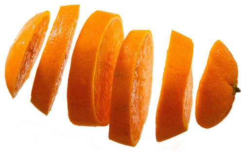 orange slices isolated fruit