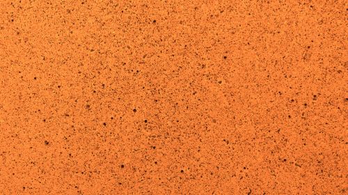 Orange Speckled Background