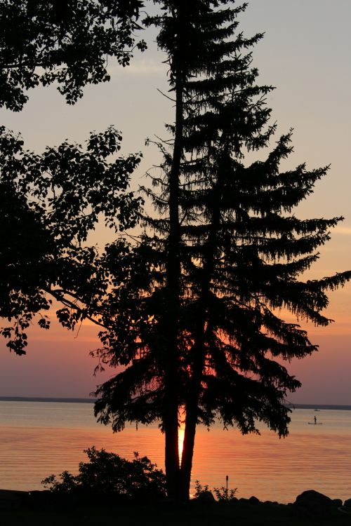 Orange Sunset Lake Pine Tree