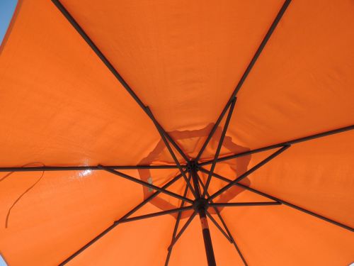 Orange Umbrella