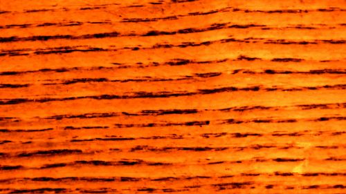 Orange Wood Grain Background
