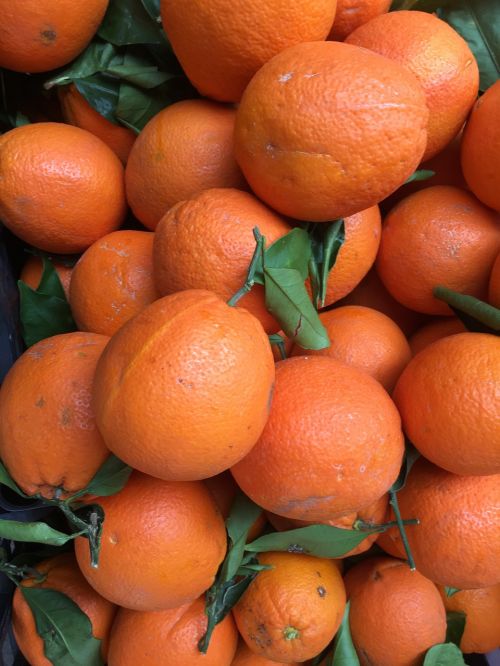 oranges fruit moist