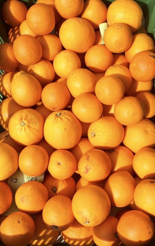 oranges fruits market