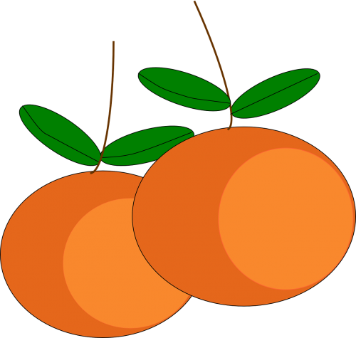 oranges fruits citrus