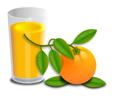 oranges fruit fruits