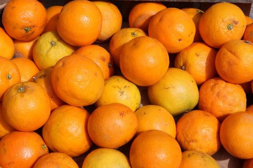 oranges orange citrus fruit