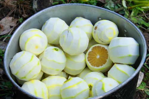 oranges oranges peeled sweet