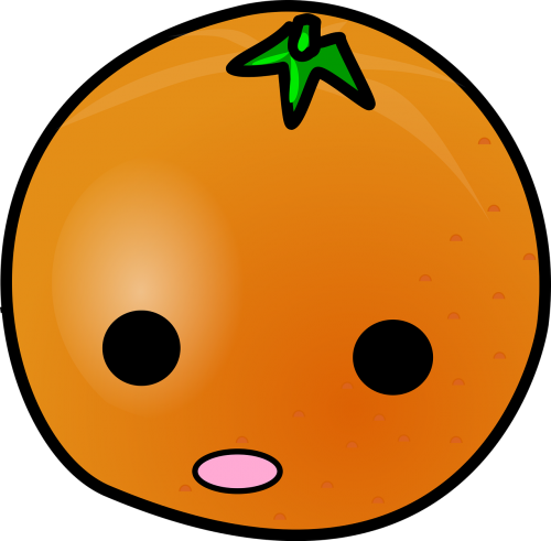 oranges fruit eyes