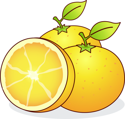 oranges bahia orange citrus sinensis