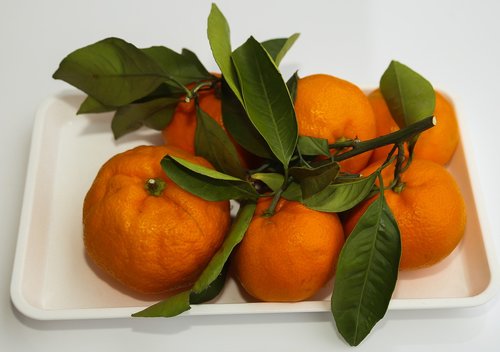 oranges  fruit  vitamins