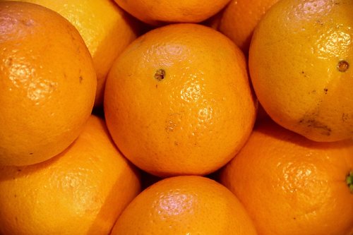 oranges  tropical fruits  mediterranean