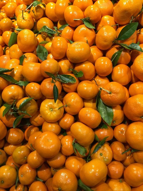 oranges  citrus  orange