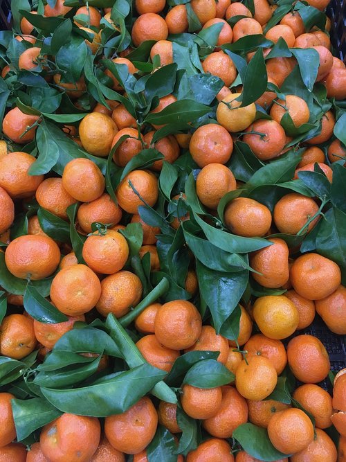 oranges  fruits  fresh