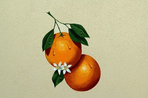 oranges  fruit  painting