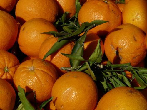 oranges orange fruit