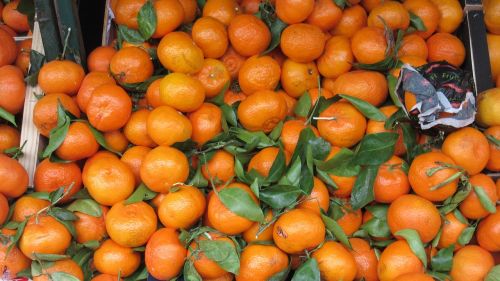 oranges fruits leaves