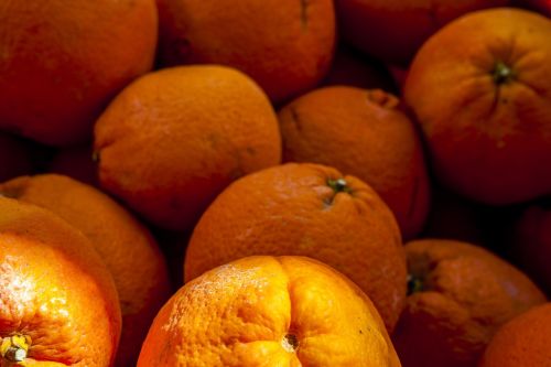 oranges fruit summer