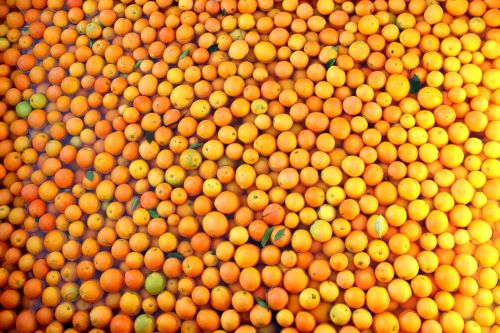oranges fruit fresh
