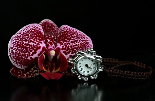 orchid  watch  gem