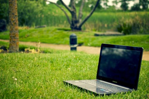 Laptop In Park