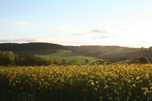 ore mountains  nature  landscape