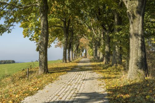 ore mountains autumn scheibenberg