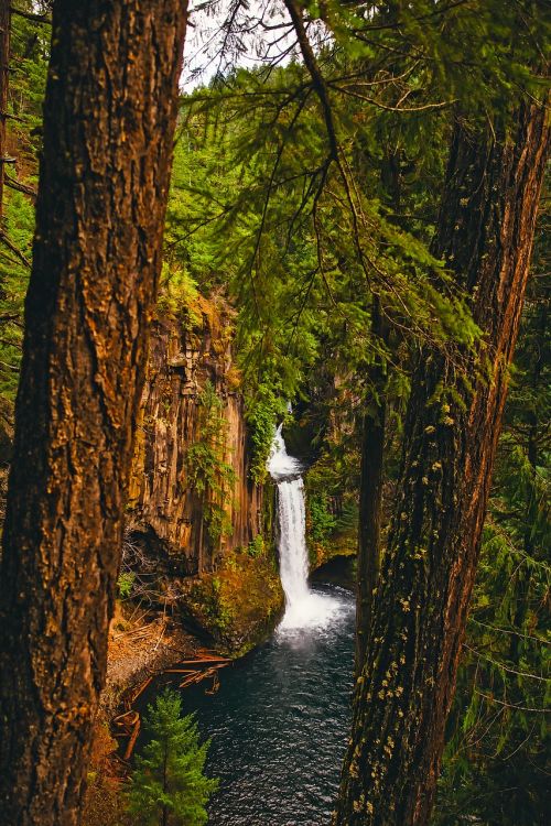 oregon mountains waterfall