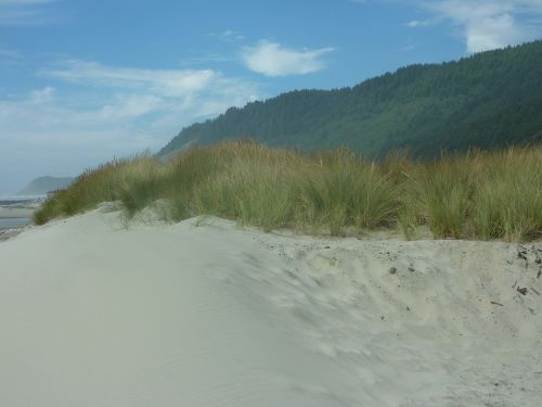 oregon dune sand
