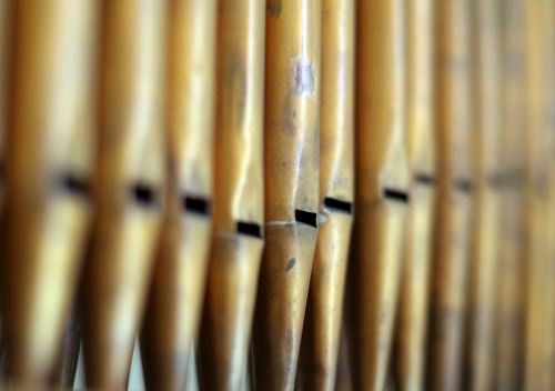 organ pipes number