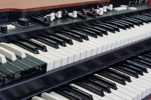 organ electronic organ musical instrument