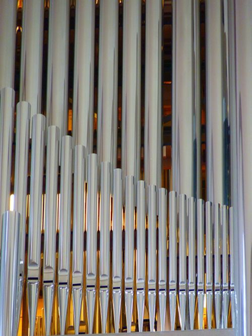 organ whistle organ church